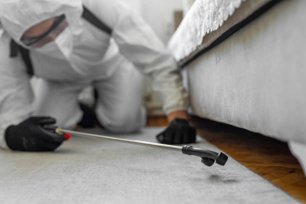 Professional Termite Control technician working in Des Plaines, IL