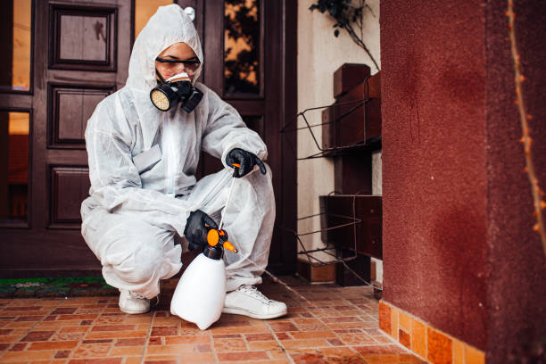 Reliable Termite Control contractor in Des Plaines, IL by Nex Pest Control